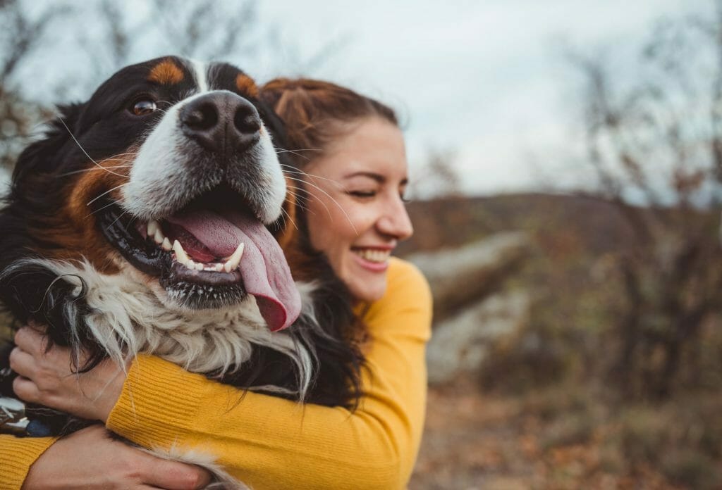 Seguro de protección de mascotas para clientes Davivienda